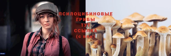 хмурый Балахна