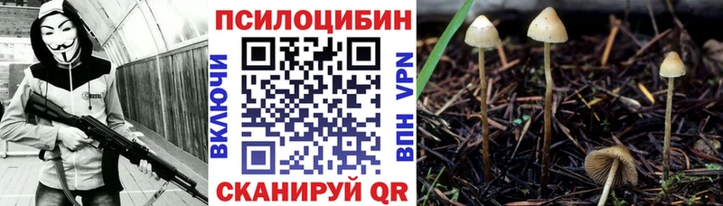 Галлюциногенные грибы Magic Shrooms  Зея 